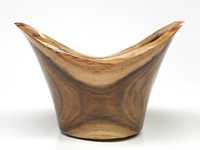 Winged Locust Bowl_pic-1