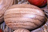 Zebrawood Egg close-up